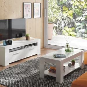 Mobile porta tv 120x42x40h 2ante bianco artik